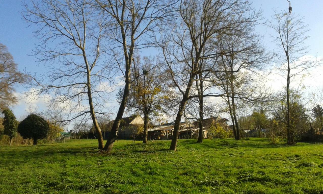Bochmann Cottage Zalaszanto Exteriör bild
